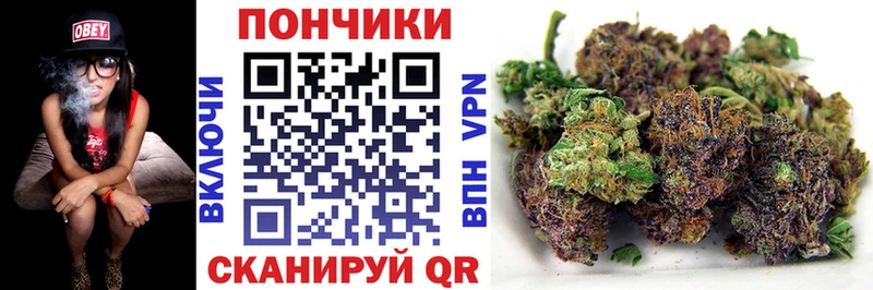 Конопля гибрид  Омутнинск 